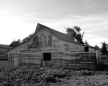 Cozad Road Barn