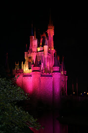 Castillo Disney Orlando