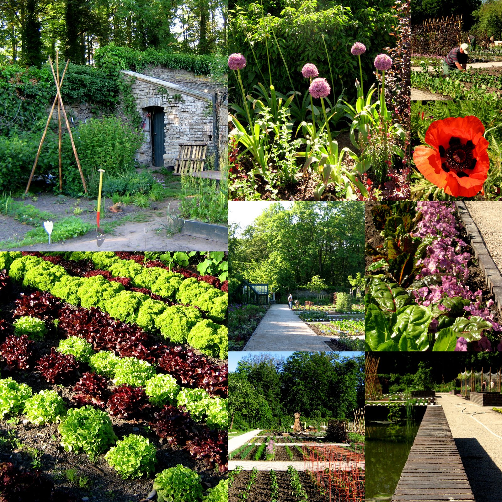 Neues Vom Lindenhof Gartenmesse Auf Schloss Langenburg Garden