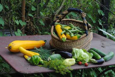 Formschoen I Wortgewandt Einfach Paradiesisch Rosen Stauden