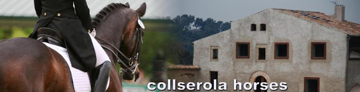 COLLSEROLA HORSES