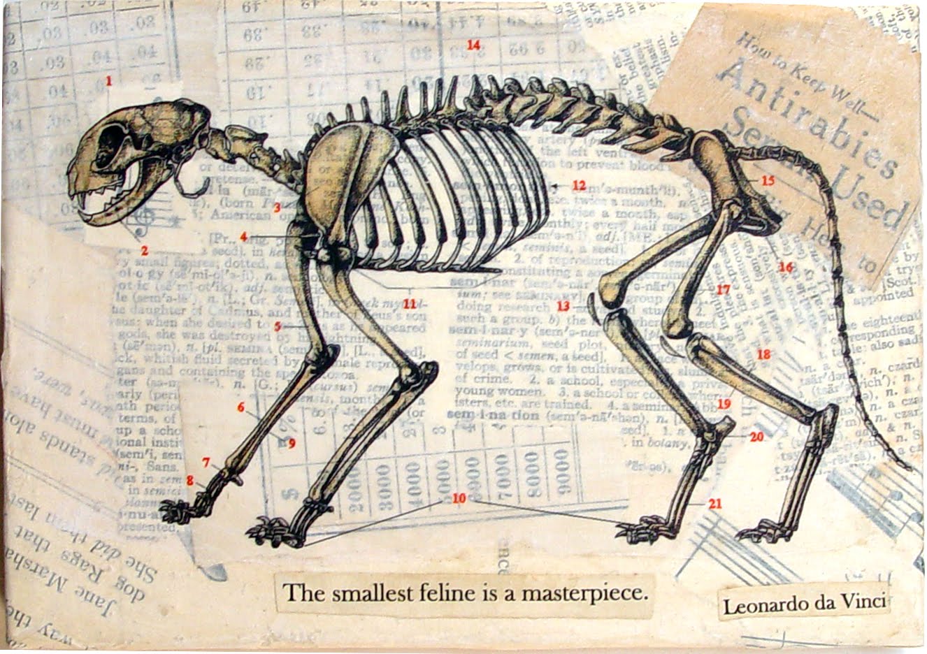 [catbones.jpg]