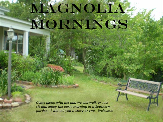 Magnolia  Mornings