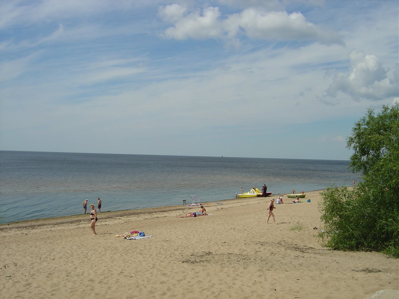[DSC07855.JPG]