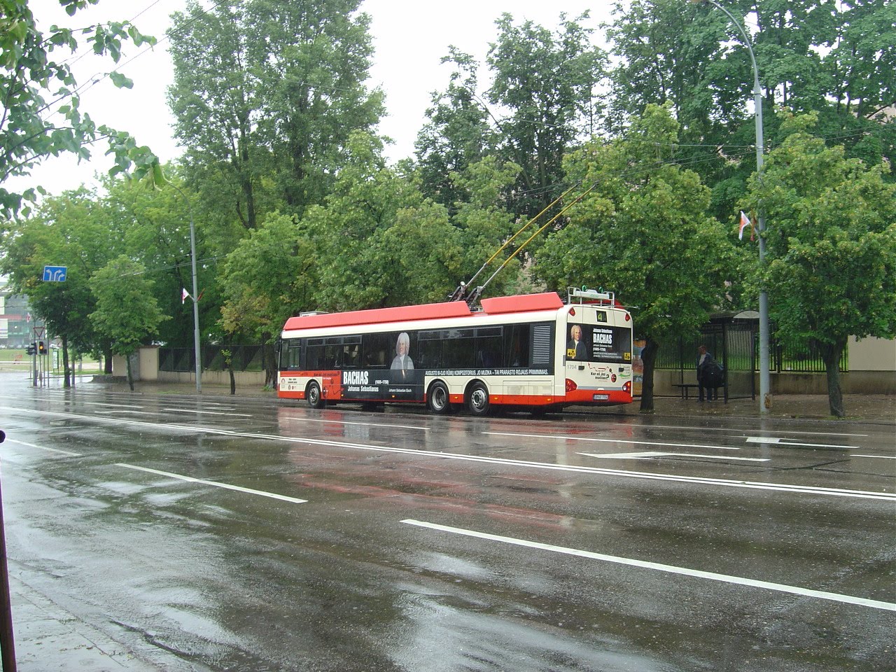[DSC08250.JPG]