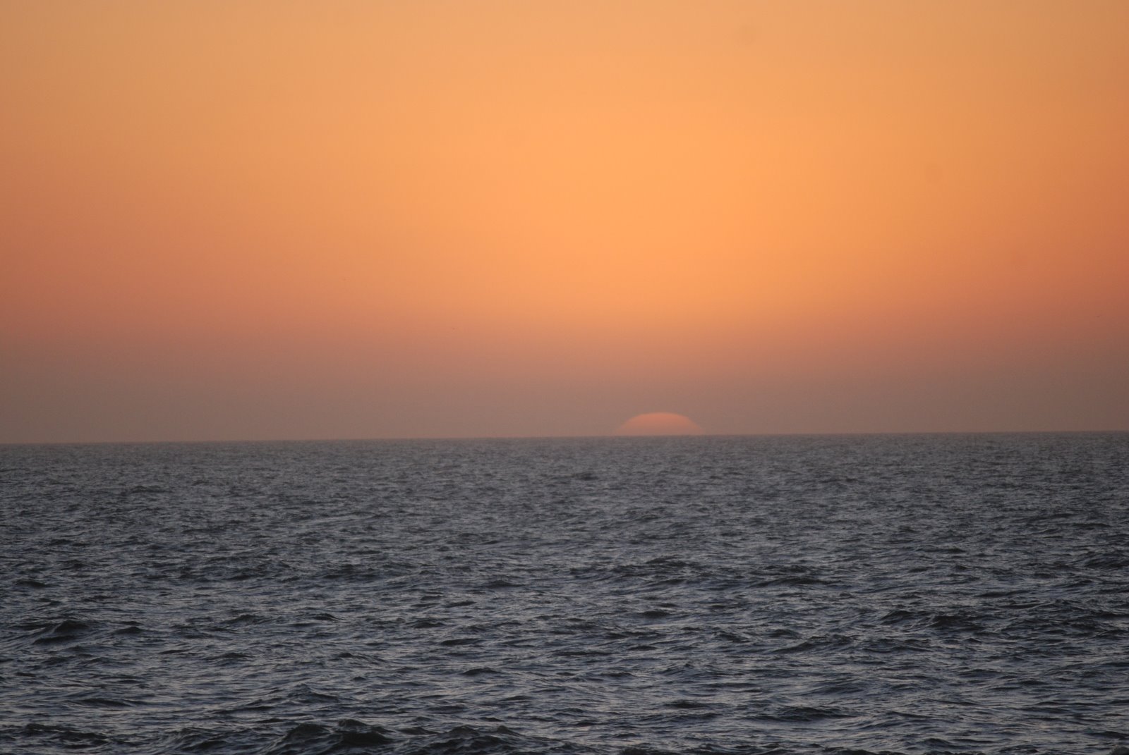[DSC_2864.JPG]