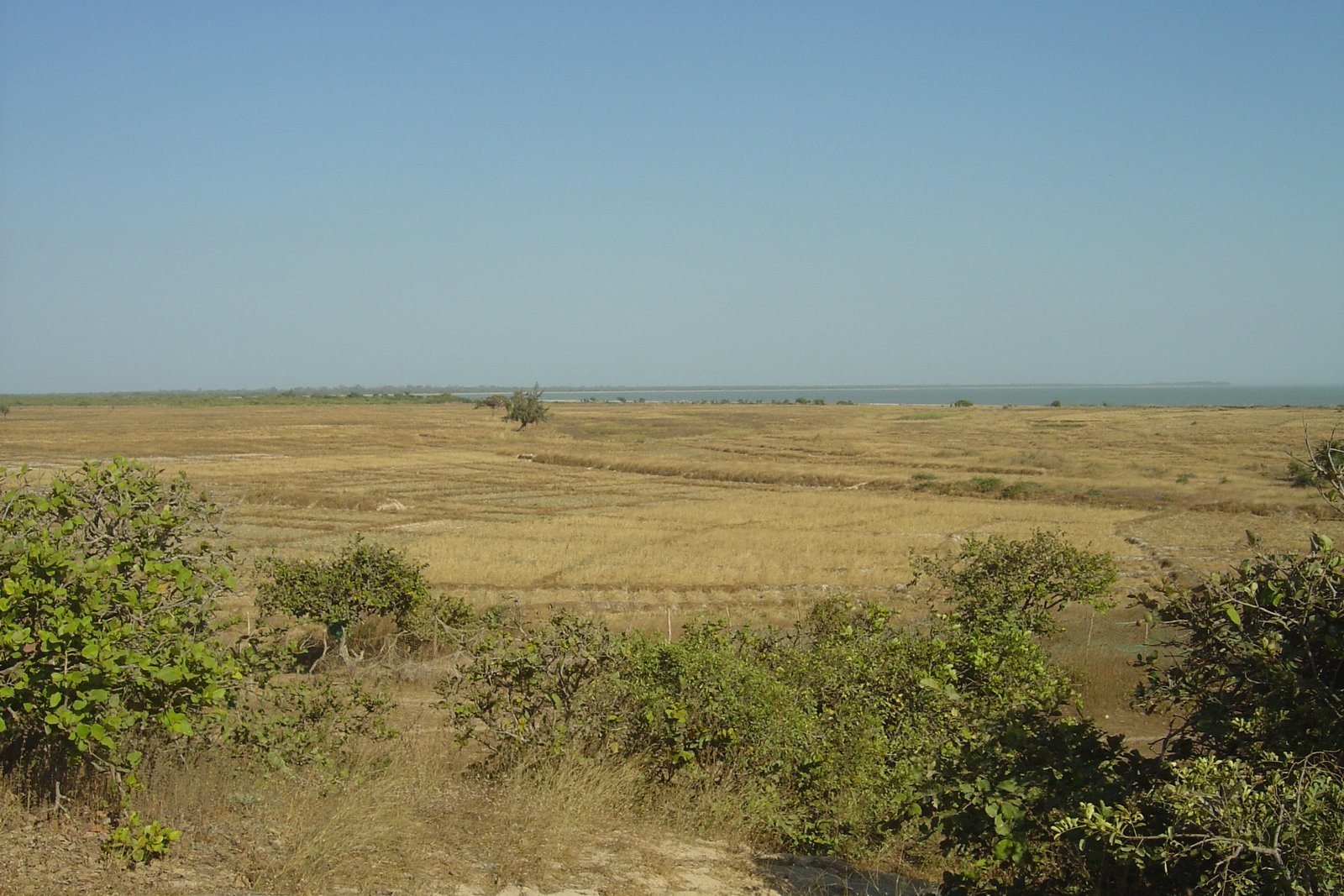 [DSC01110.JPG]