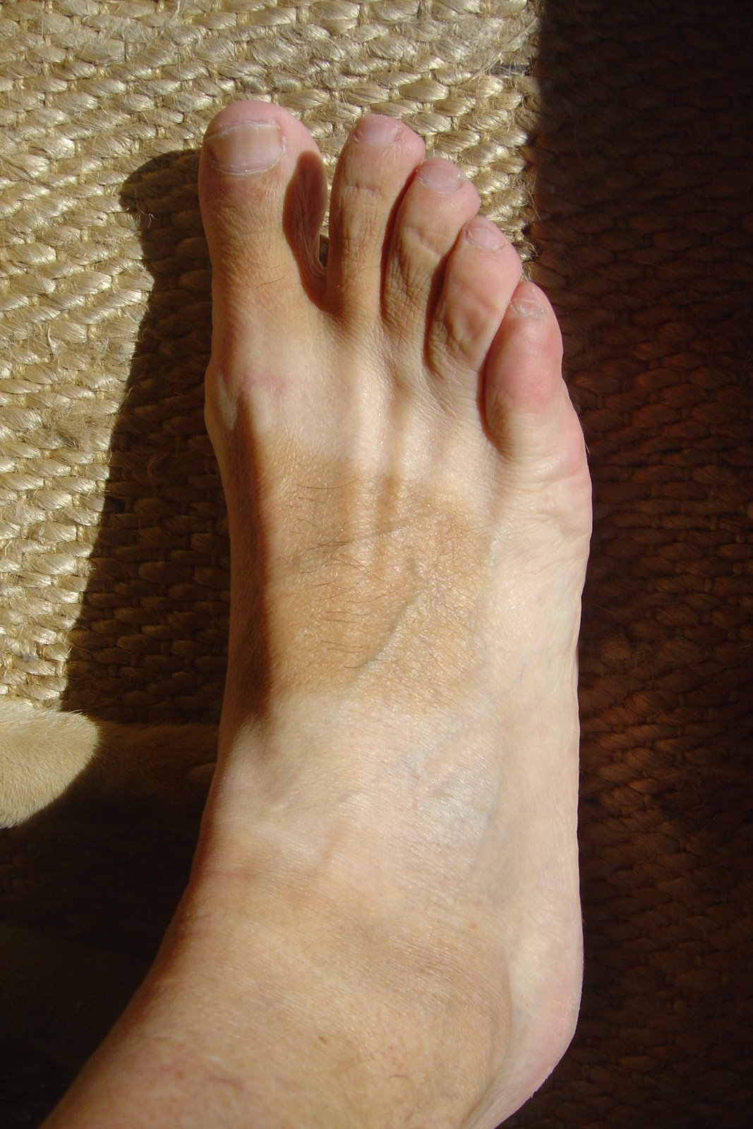 [DSC01491.JPG]