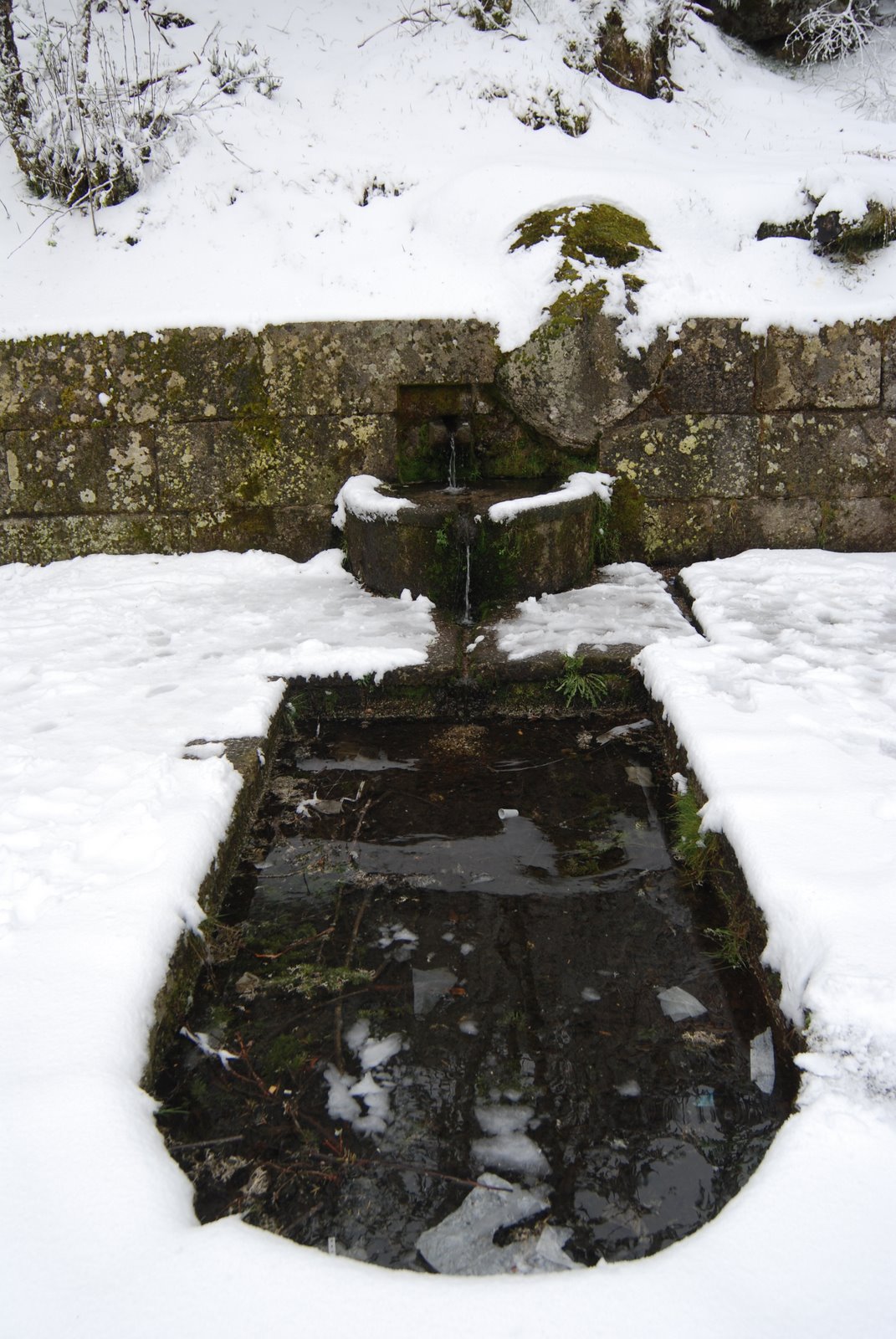 [DSC_3366.JPG]