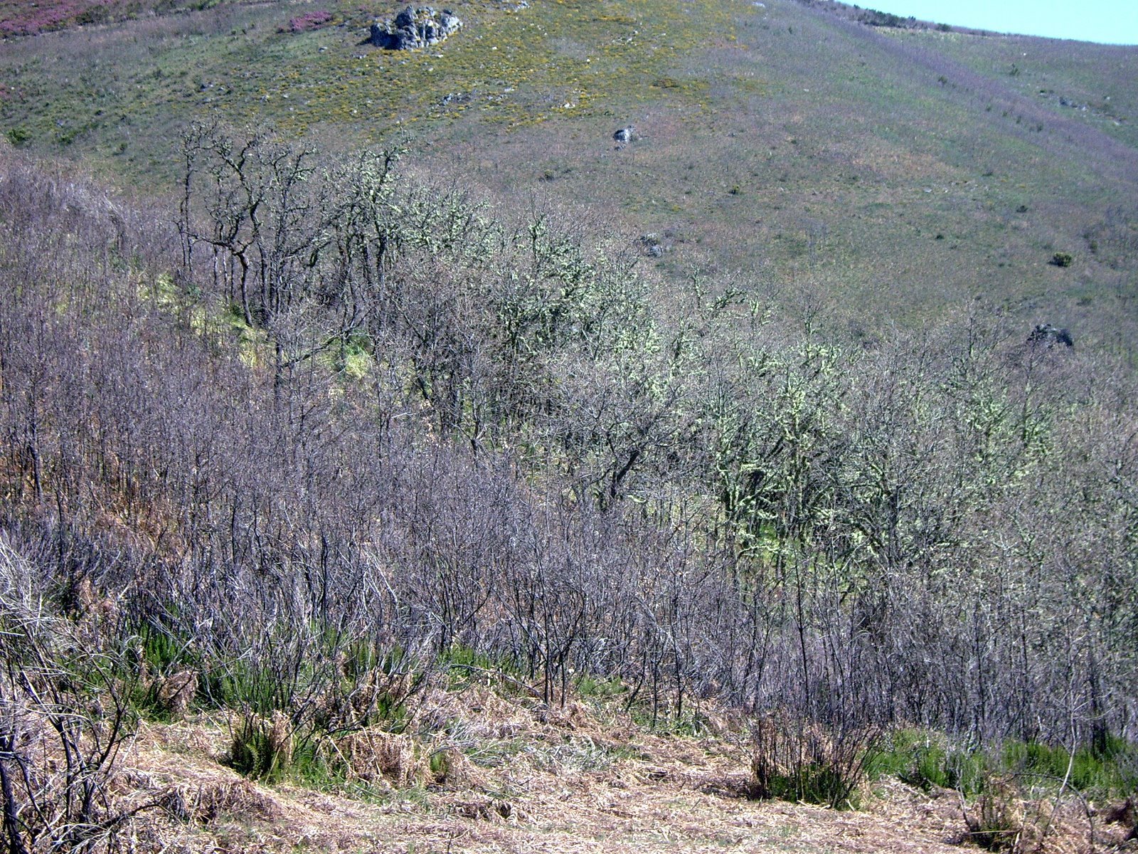 [IMG_0014.JPG]