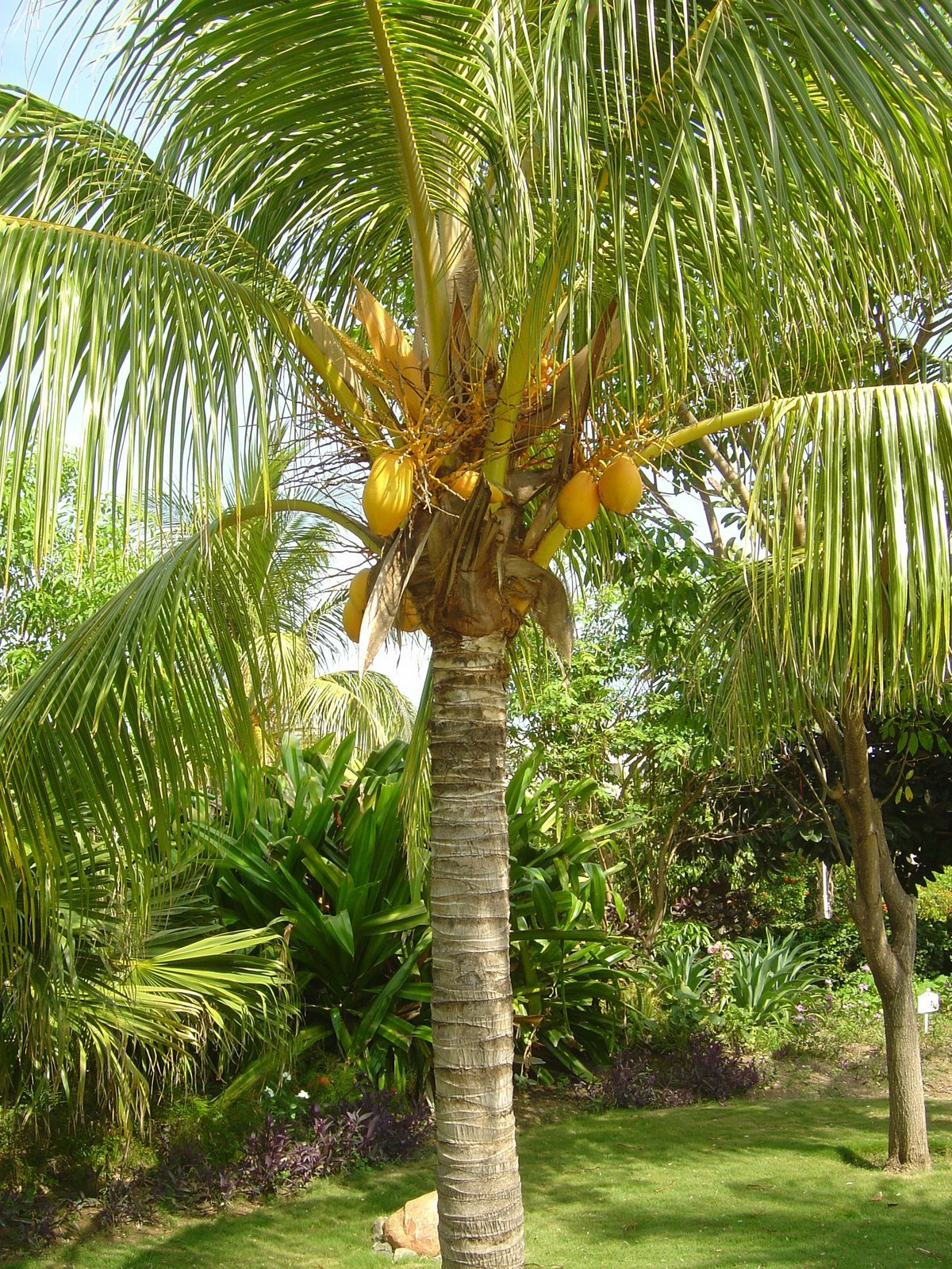 [DSC01627.JPG]