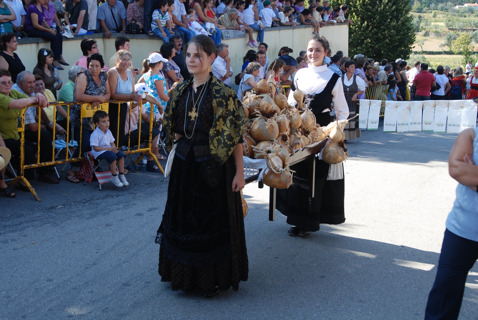 [DSC_4498.JPG]
