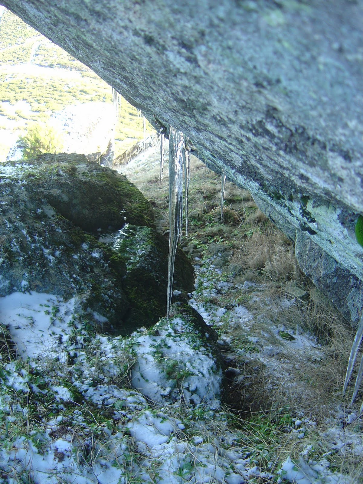 [DSC02084.JPG]