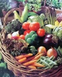 Support Your Local Farmers...
