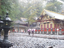 Templos de Nikko y dia lluvioso