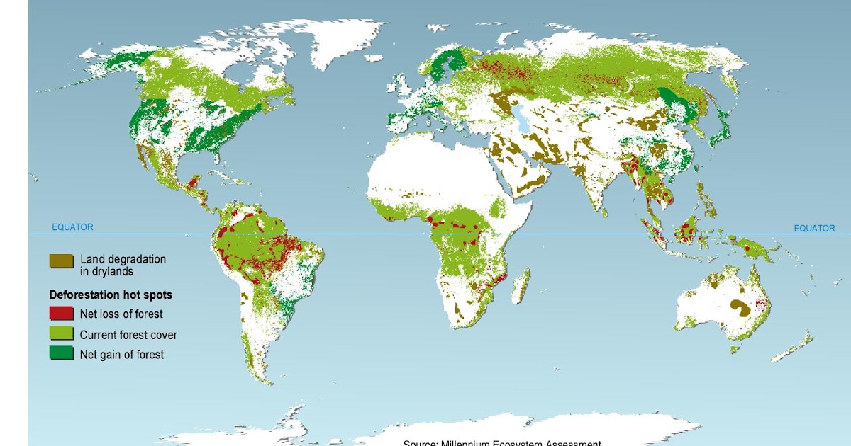 lesécolosdela5°2 la déforestation de la forêt équatoriale africaine