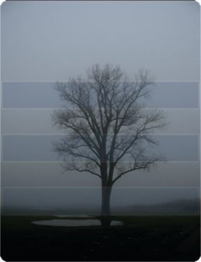 [Tree-3.png]