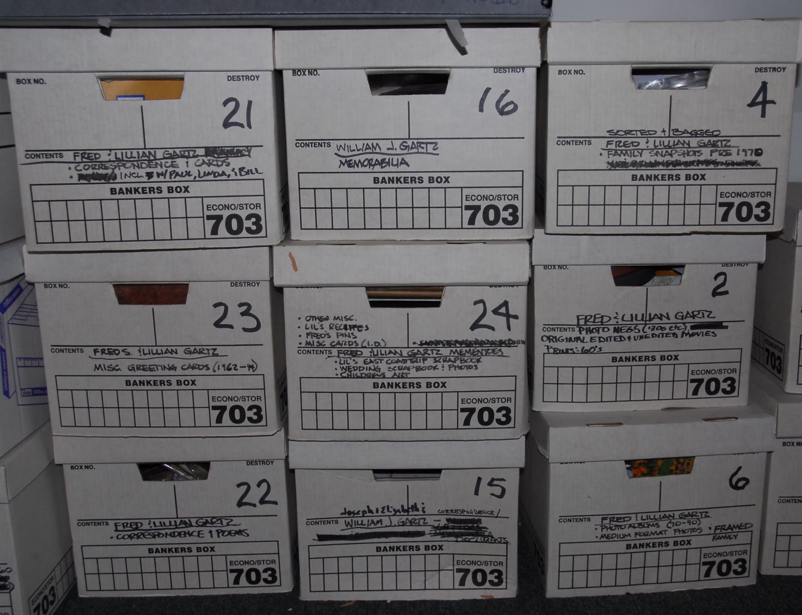 Family Archaeologist Mystery Writing