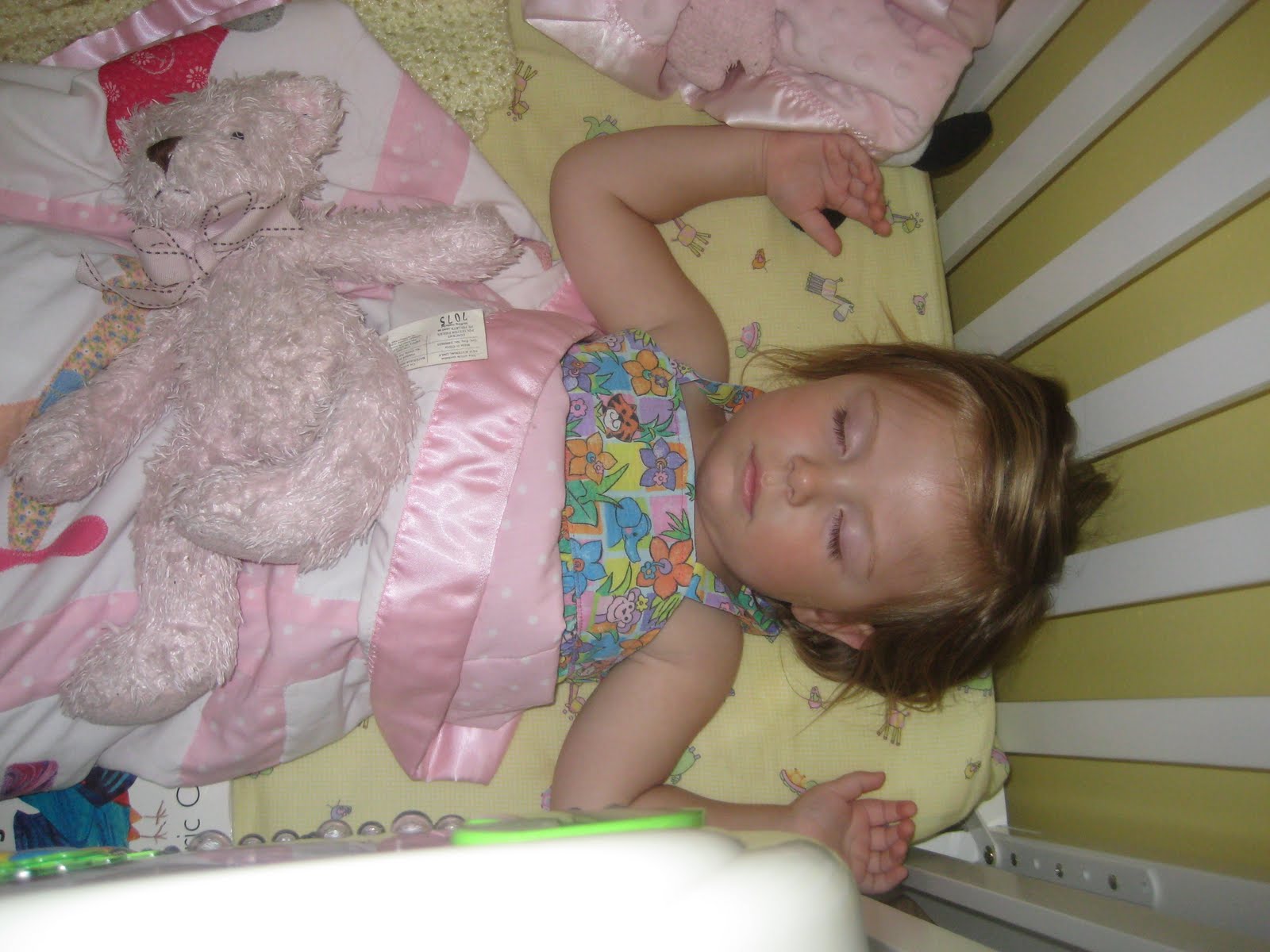 [[2009.08.12]+Maggie+sleeping.JPG]