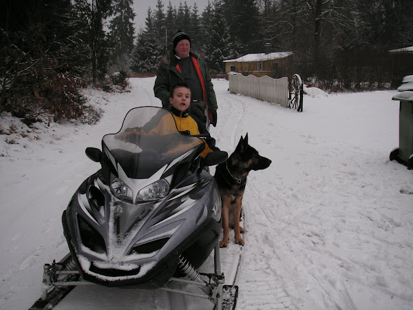 Risto Henrik Å Tyson