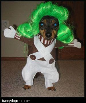Old Oompa Loompas
