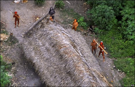 [brazil.gif]