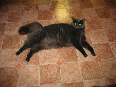 Art, Movies, Wood and what not . . .: April 2009