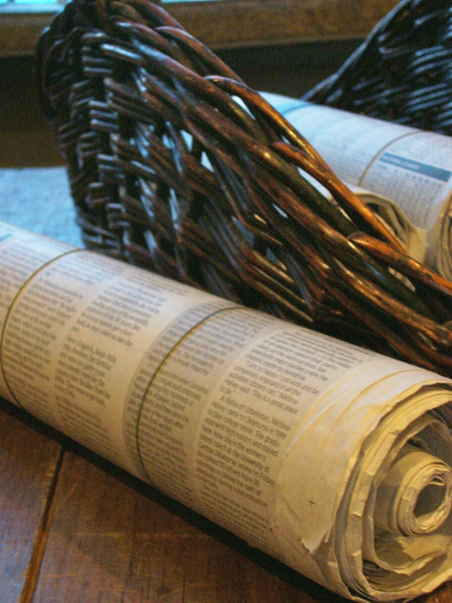 tray bella newspaper logs