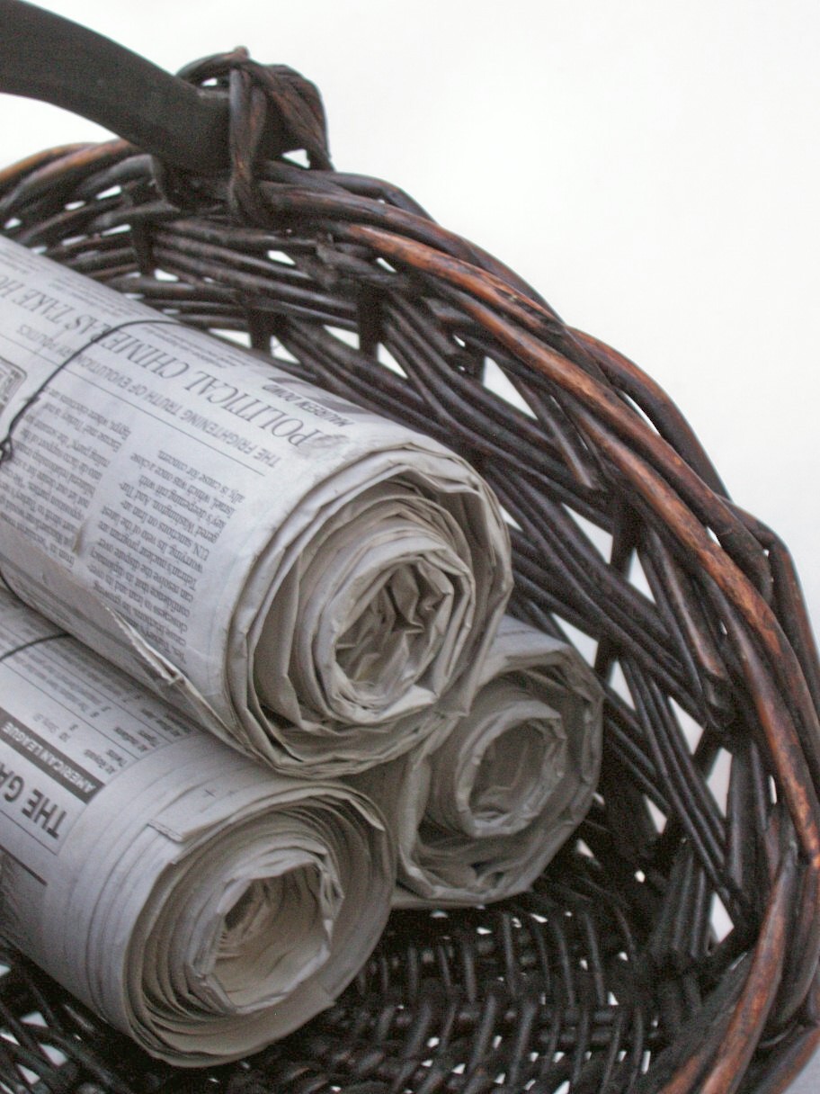 tray bella newspaper logs