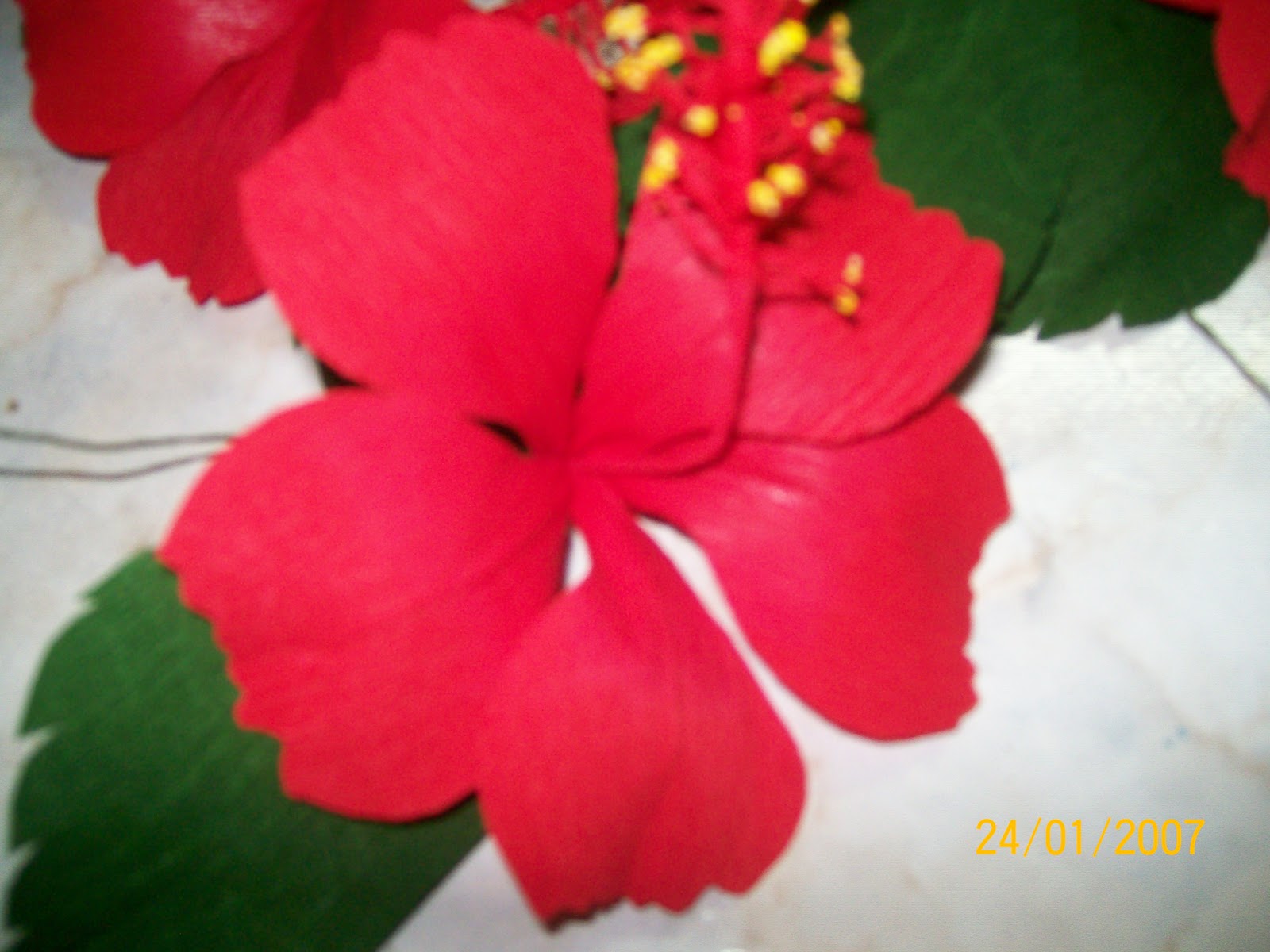 Flower shoes women image