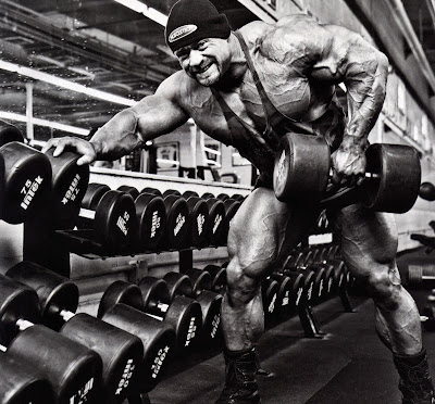 Branch Warren Back