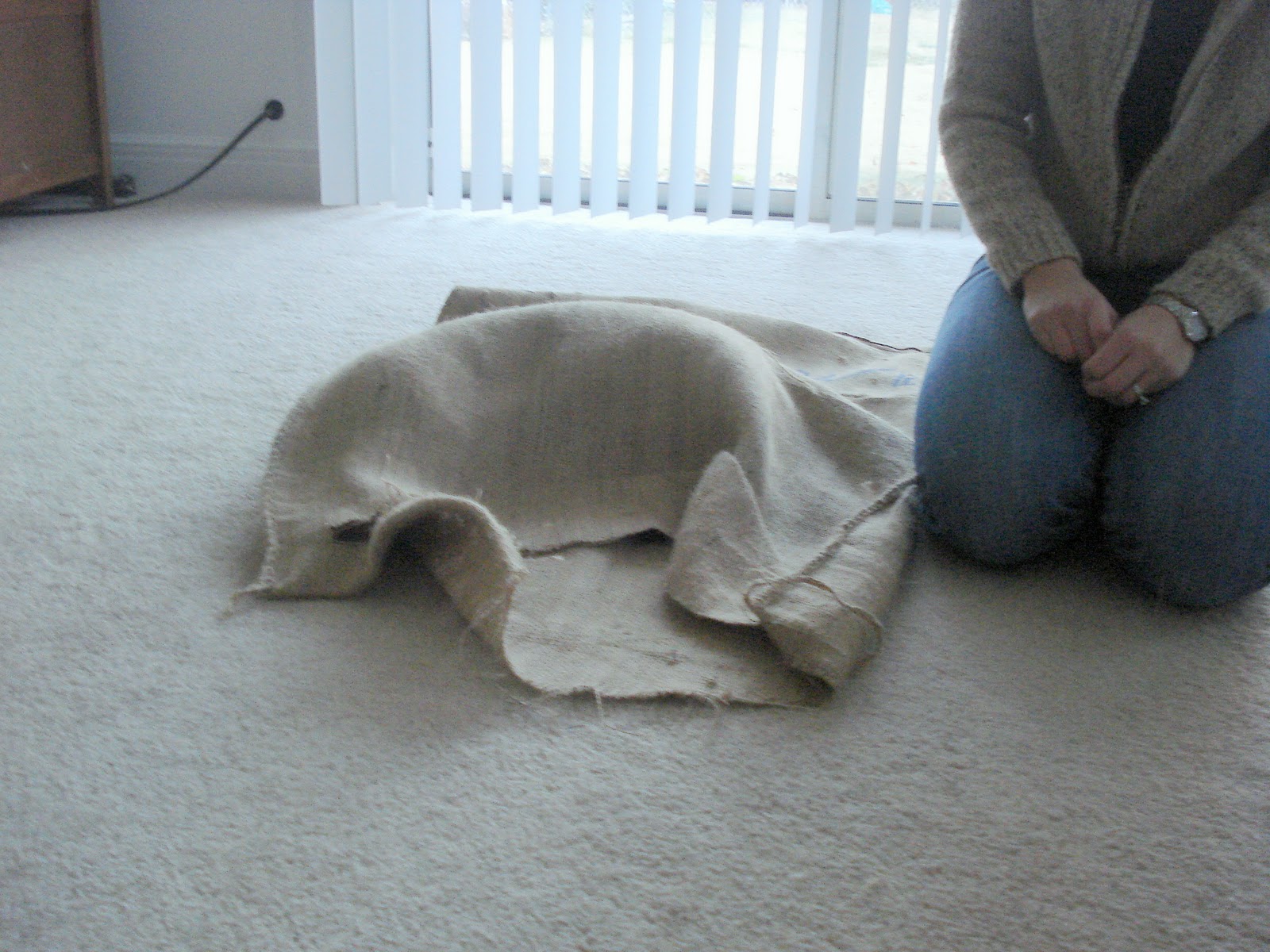 R. Simple Life Cat in a Burlap Sack