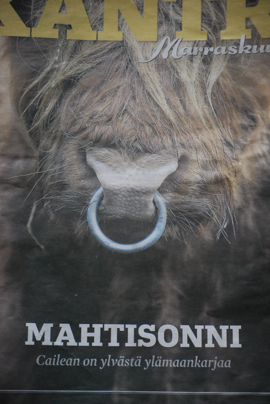 [huhtikuu09+024.JPG]