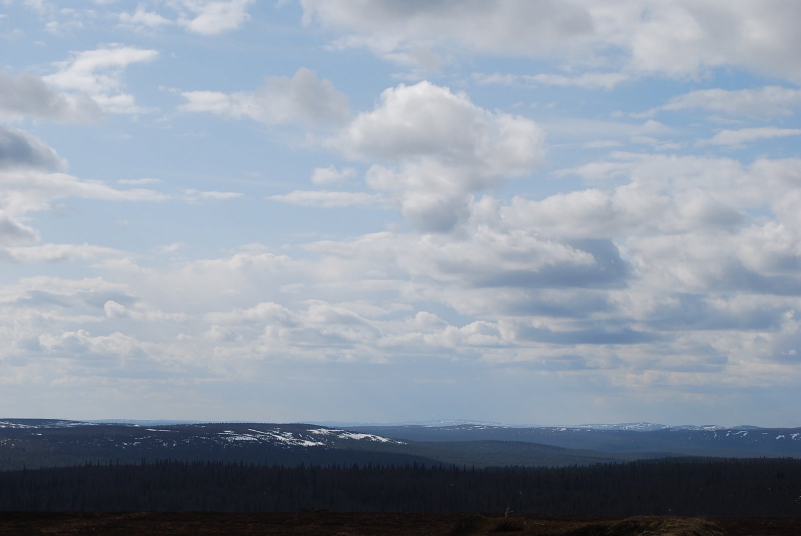 [toukokuu+09+lappi+malax+156.JPG]