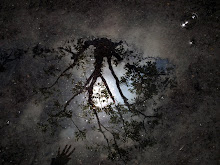 Moon Tree