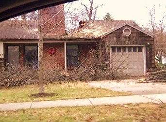 [House+with+Tree+through+Roof+3.jpg]