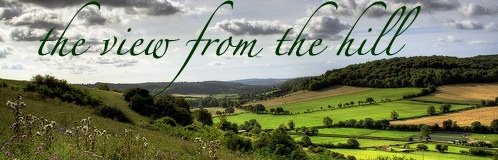 the view from the hill