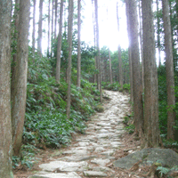 [kumano.gif]
