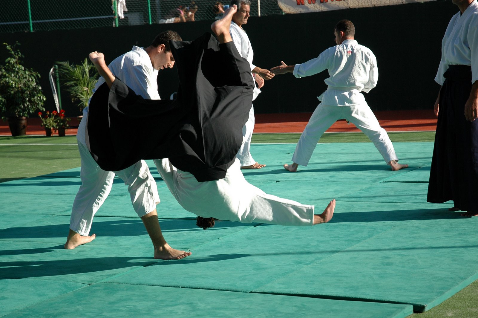 [DSC_9004.JPG]