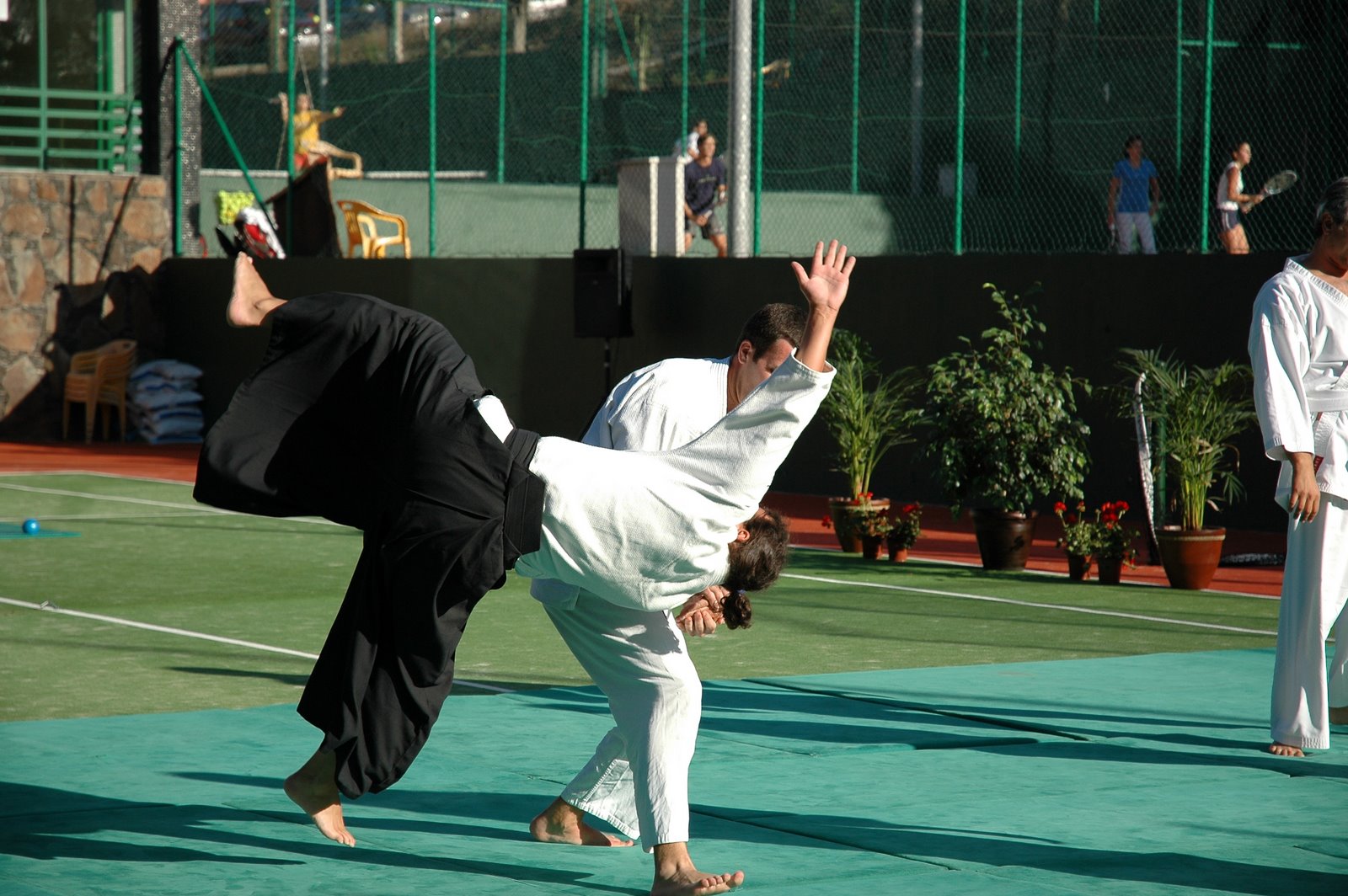 [DSC_9087.JPG]