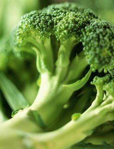 [brocoli.jpg]