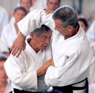 [aikido_tamura-pellerin.jpg]