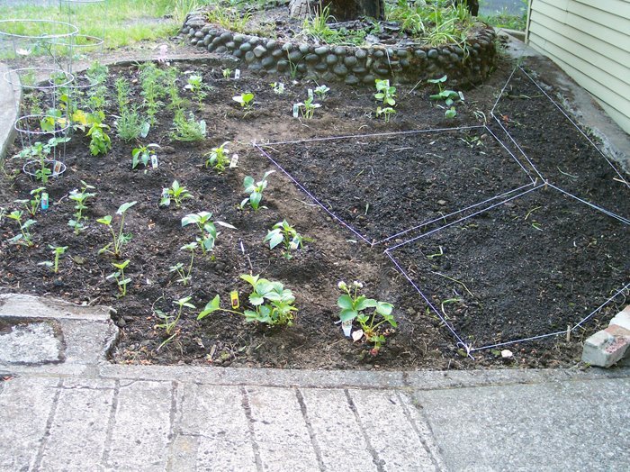 [garden.jpg]