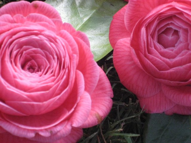 [IMG_5203.JPG]