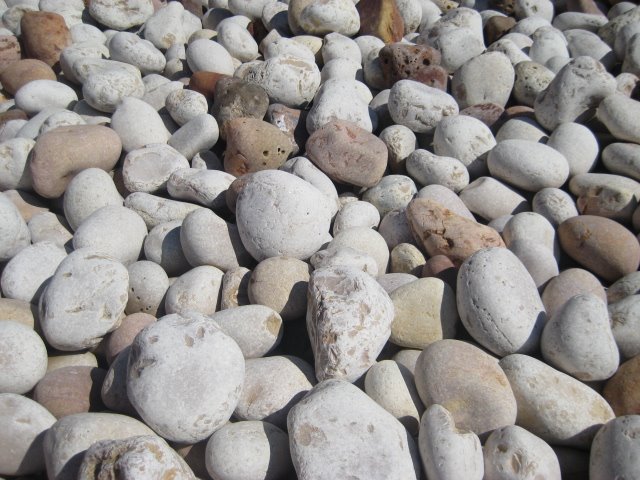 [IMG_5506.JPG]