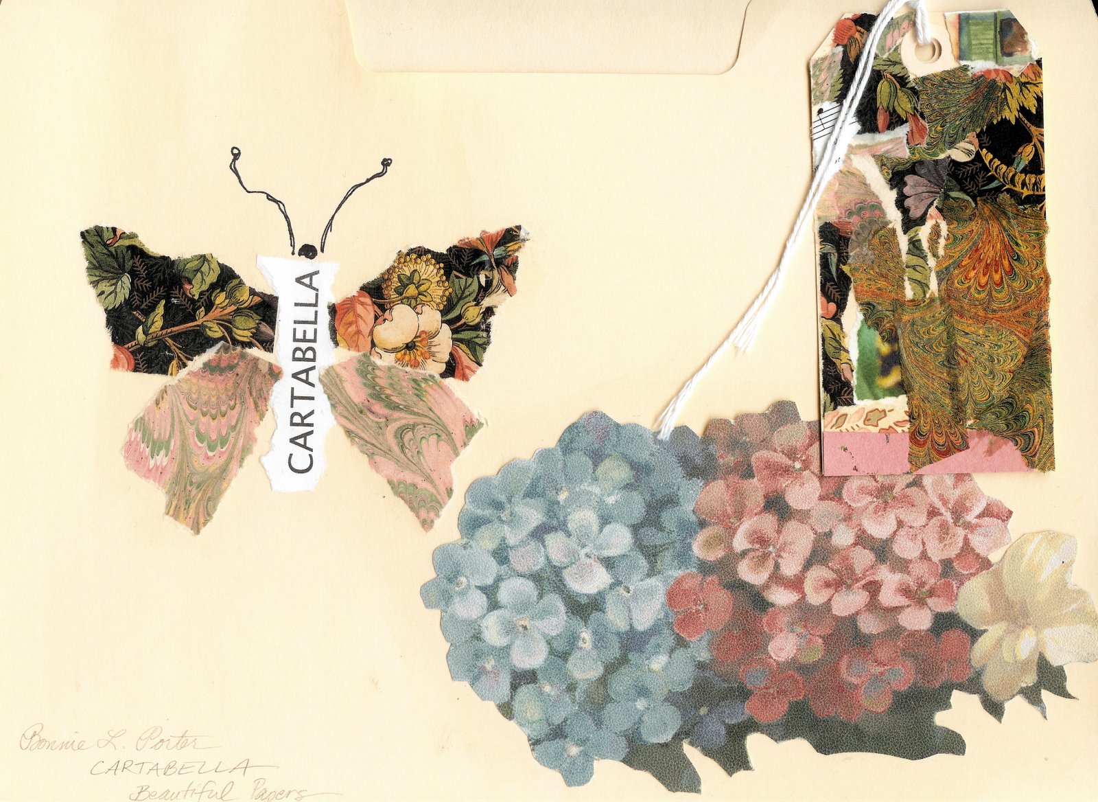 [ButterflyFolderPaper.jpg]