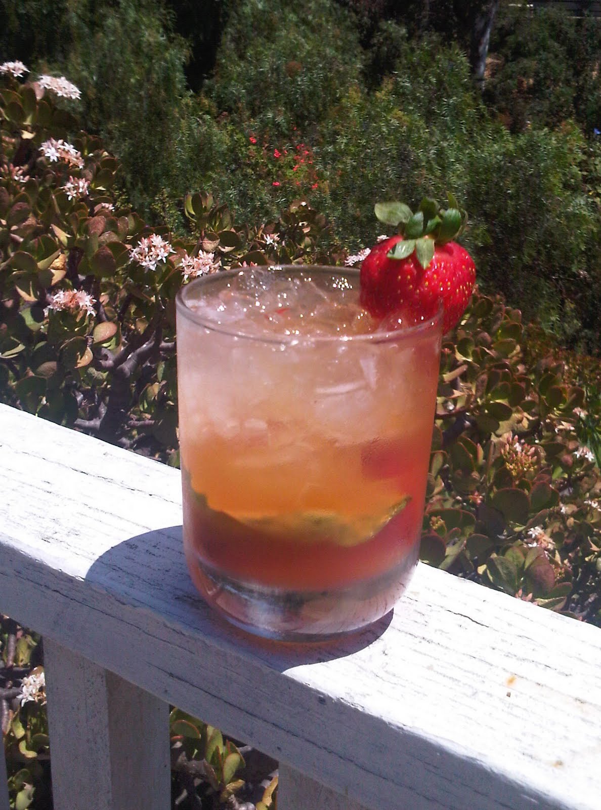 Rancho Tequila Summer's End Espolón Cocktail!