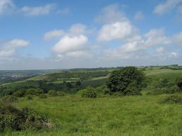 Rolling Hills of Dover