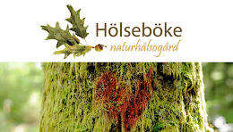 NATUR OCH HÄLSA