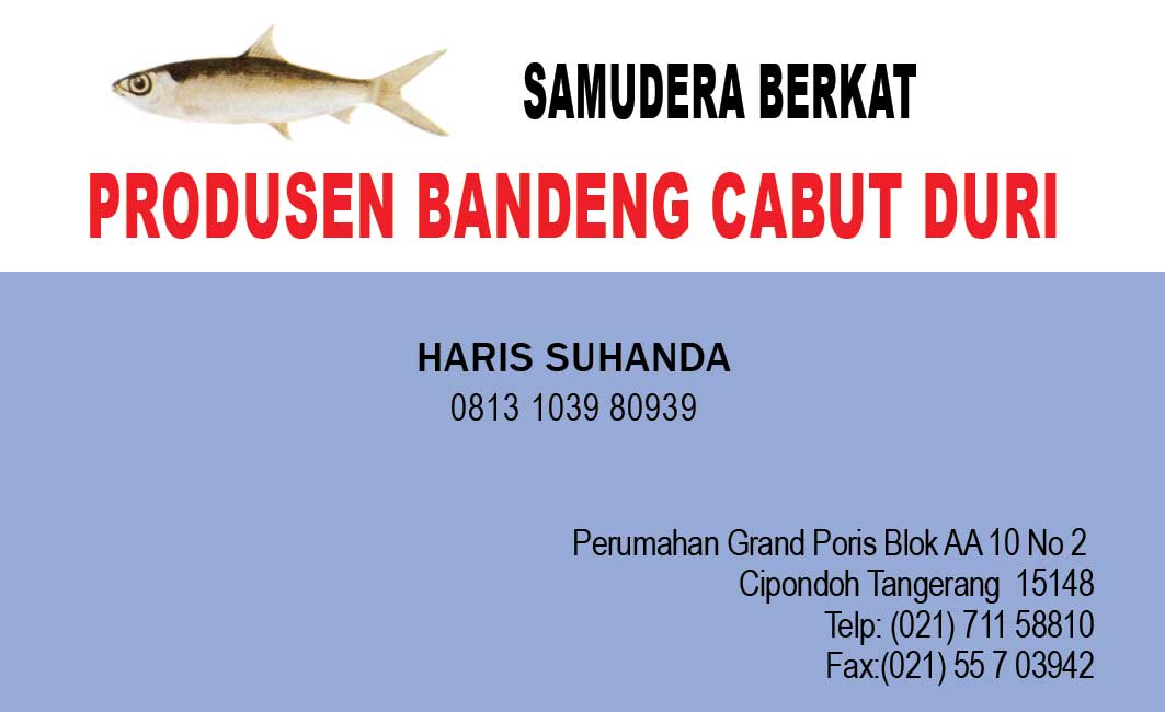 cetakprint cetak apa saja cetak kartu nama color cetakprint cetak apa saja cetak kartu nama color